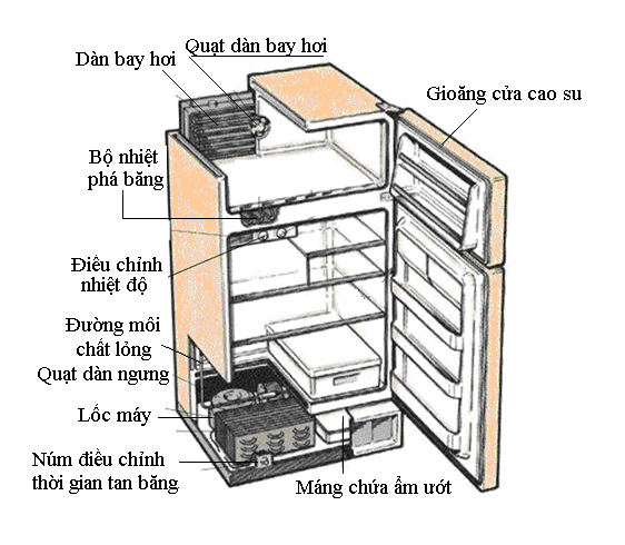 5 điểm khác biệt giữa Minibar khách sạn và tủ lạnh mini